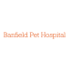 BanfieldPetHospital-微软 Power BI的合作品牌