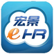 宏景软件人事管理(eHR)软件