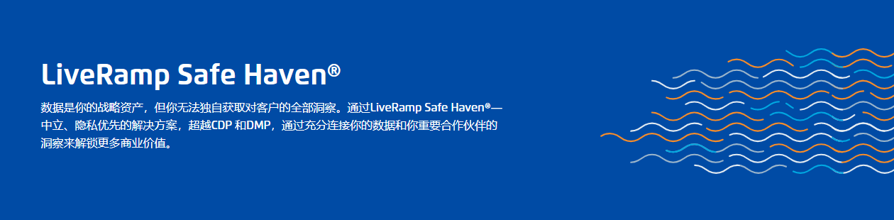 LiveRamp Safe Haven的功能截图