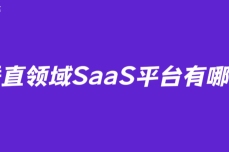 垂直领域SaaS平台有哪些