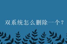 双<dptag>系</dptag><dptag>统</dptag><dptag>怎</dptag><dptag>么</dptag>删除一个？