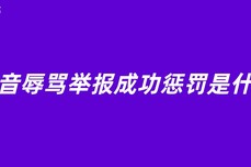 抖<dptag>音</dptag>辱骂举报成功惩罚是什么