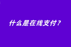 什么是<dptag>在</dptag><dptag>线</dptag>支付？