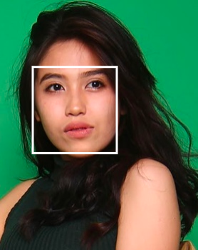 Linkface的功能截图