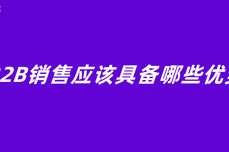 B2B<dptag>销</dptag><dptag>售</dptag>应该具备哪些优势