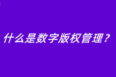 什么是数字版<dptag>权</dptag>管理？