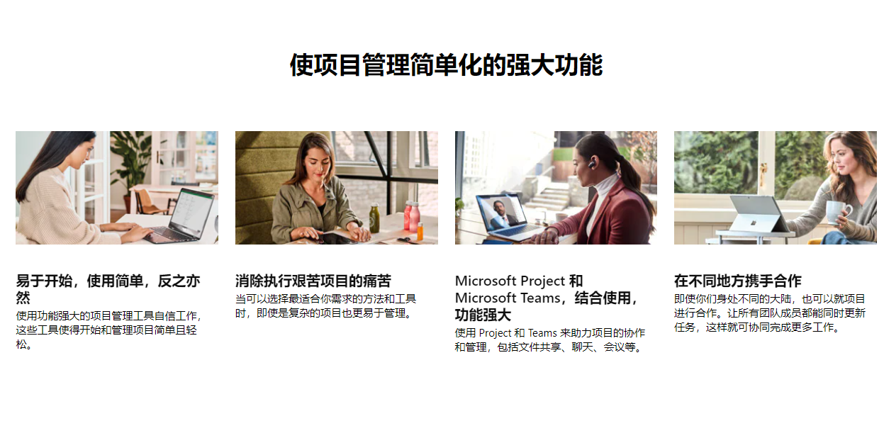 Microsoft Project的功能截图