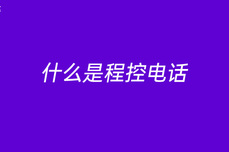 什么是程<dptag>控</dptag>电话