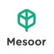 Mesoor
