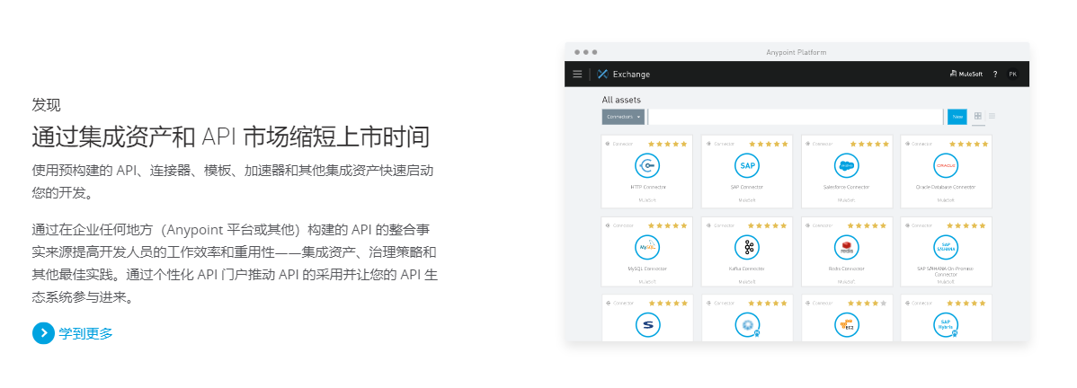 MuleSoft Anypoint的功能截图