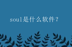 soul是什么<dptag>软</dptag><dptag>件</dptag>？