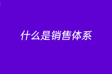 什么是<dptag>销</dptag><dptag>售</dptag>体系