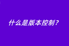 什么是版<dptag>本</dptag>控制？