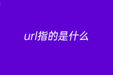 url指的<dptag>是</dptag><dptag>什</dptag><dptag>么</dptag>