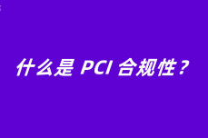 什么是 PCI 合规性？