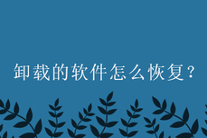 卸载的<dptag>软</dptag><dptag>件</dptag><dptag>怎</dptag><dptag>么</dptag>恢复？