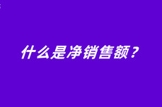 什么是净<dptag>销</dptag><dptag>售</dptag>额？